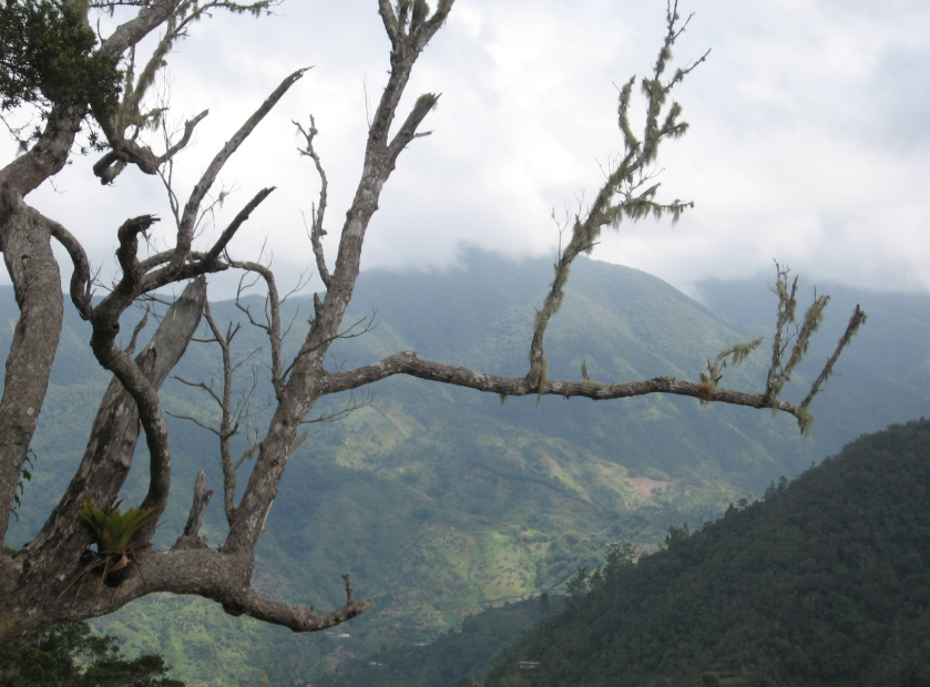 Blue Mountains, Eastern Jamaica, Jamaica